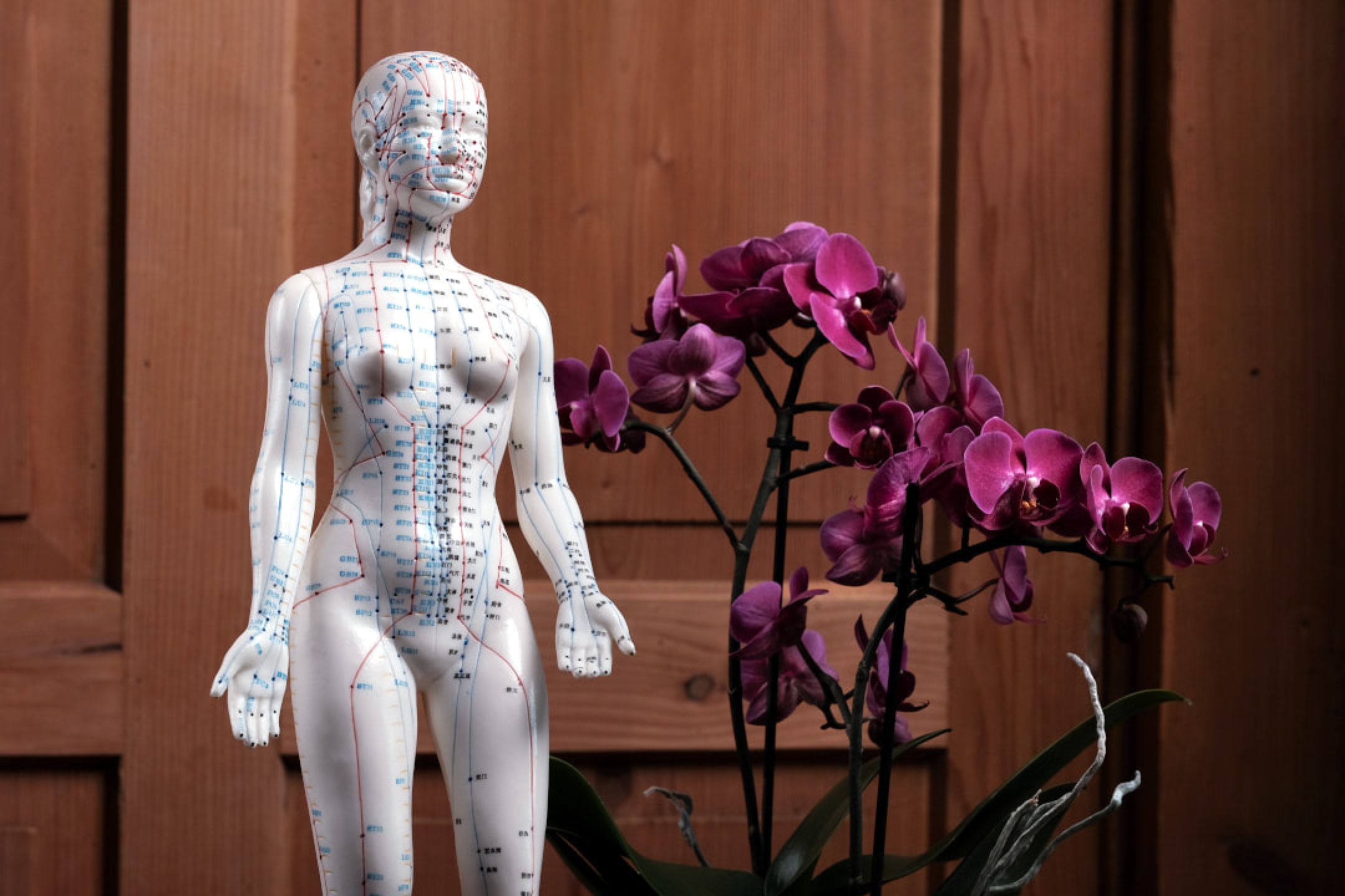 Traditionelle Chinesische Medizin - Ganzheitliche Medizin