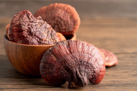 Mykotherapie in der Traditionellen Chinesischen Medizin